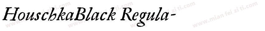 HouschkaBlack Regula字体转换